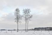 ooievaarsnest 8-12-2010 3244